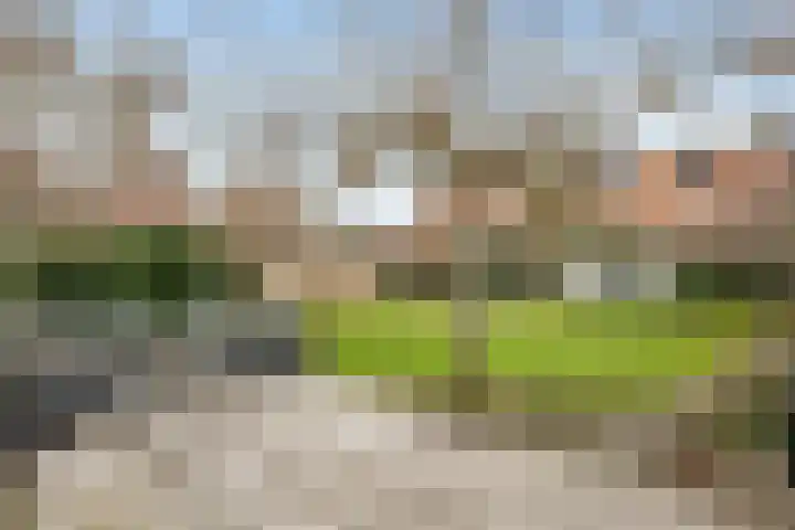 van Beresteijnstraat 29 Veendam thumbnail 49