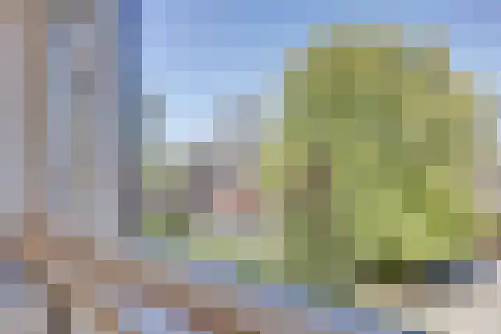 van Blarcumlaan 25 Ankeveen thumbnail 39