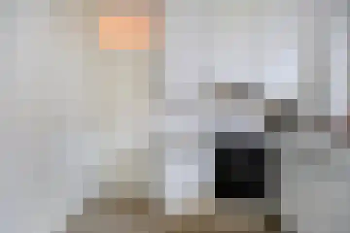Van Blommesteinstraat 6 Delft thumbnail 26