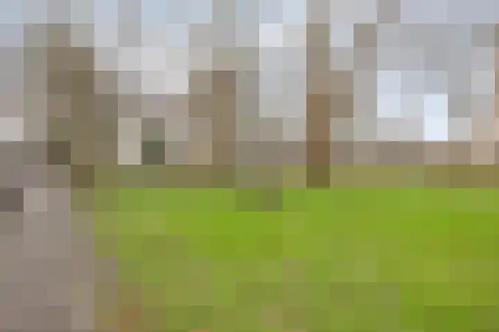 Van Blommesteinstraat 6 Delft thumbnail 28