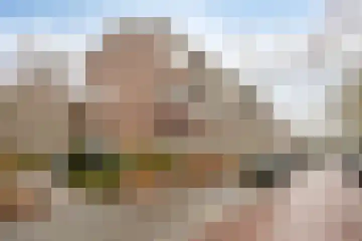 Van Blommesteinstraat 6 Delft thumbnail 29