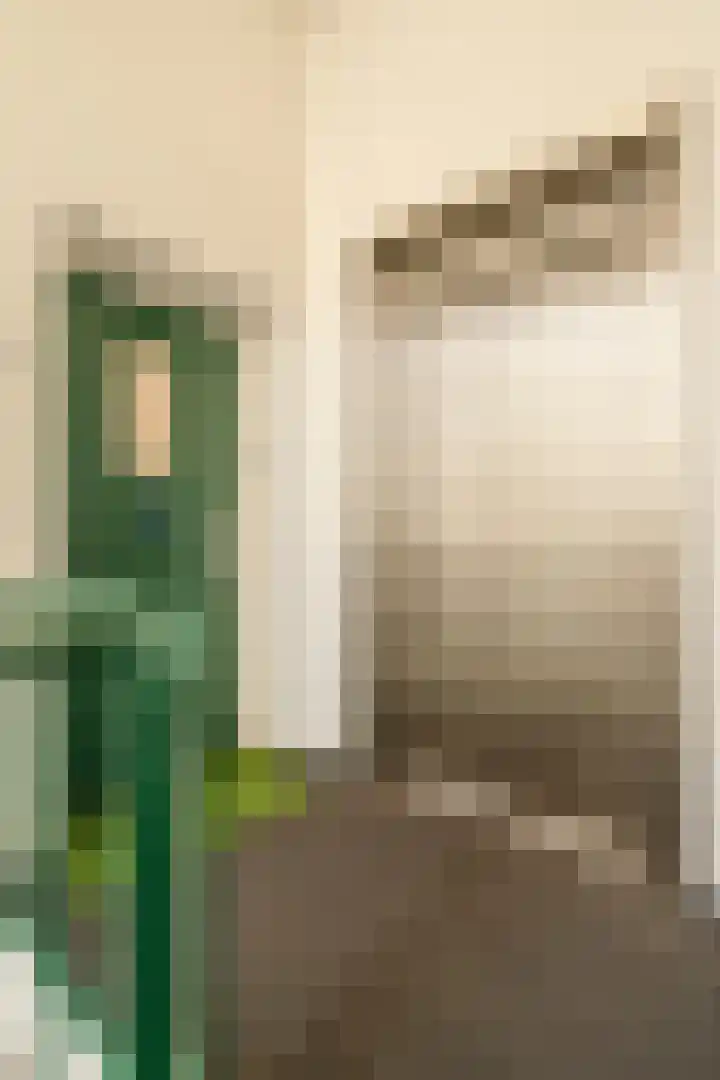 Van Bommellaan 43 Wassenaar thumbnail 7