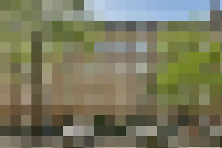 Van Bossestraat 16 1 in Amsterdam
