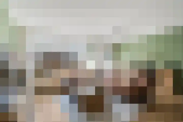Van Bosseware 23 Zwolle thumbnail 11