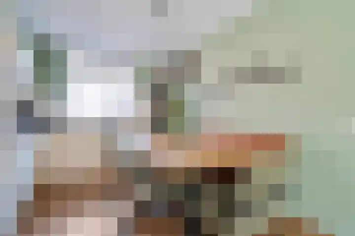 Van Bosseware 23 Zwolle thumbnail 14