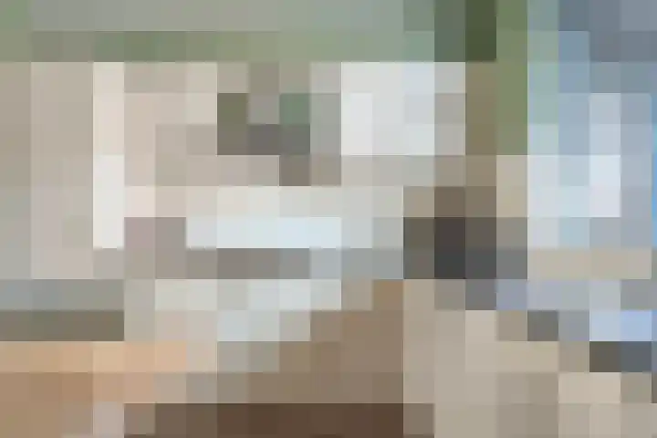 Van Bosseware 23 Zwolle thumbnail 16