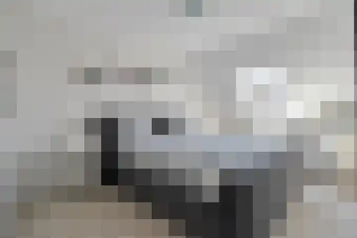 Van Bosseware 23 Zwolle thumbnail 21
