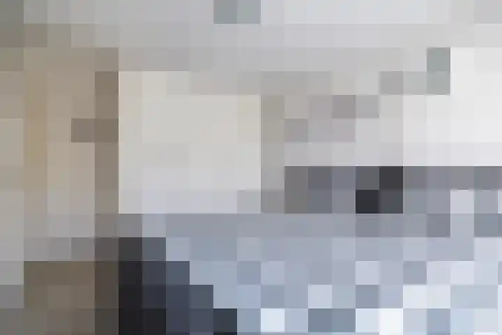 Van Bosseware 23 Zwolle thumbnail 22
