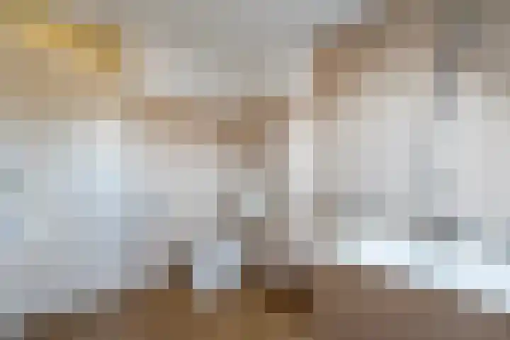 Van Bosseware 23 Zwolle thumbnail 24