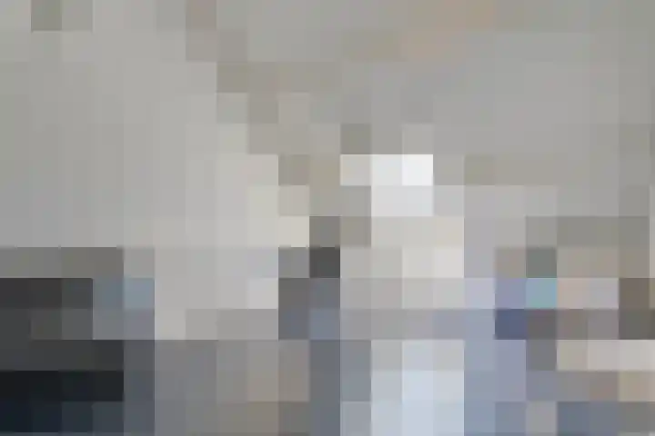 Van Bosseware 23 Zwolle thumbnail 31