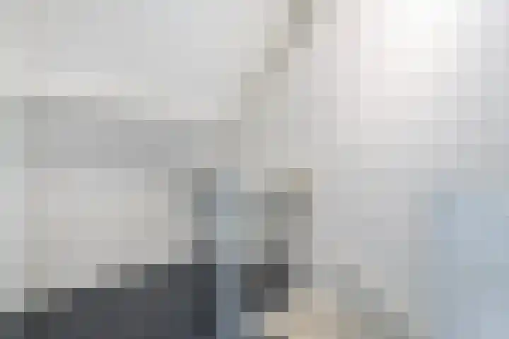 Van Bosseware 23 Zwolle thumbnail 33