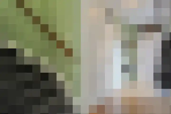 Van Bosseware 23 Zwolle thumbnail 7