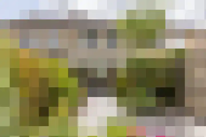 van Brabantlaan 4 Valkenburg thumbnail 26