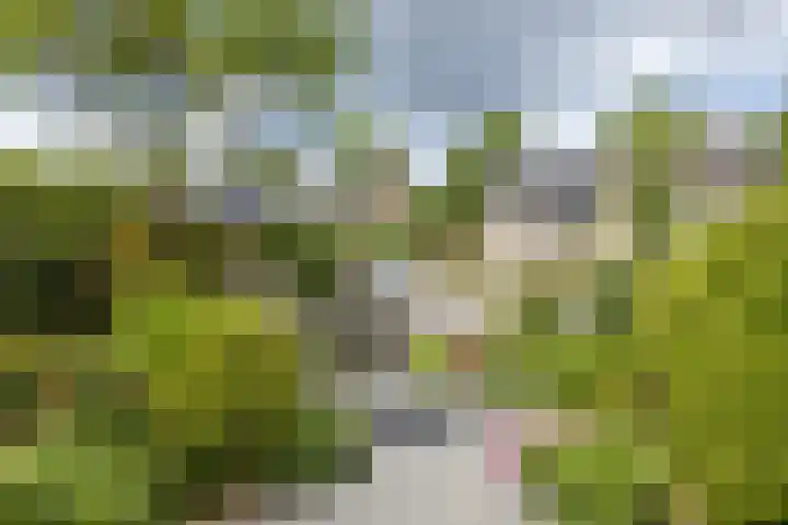 van Brabantlaan 4 Valkenburg thumbnail 28