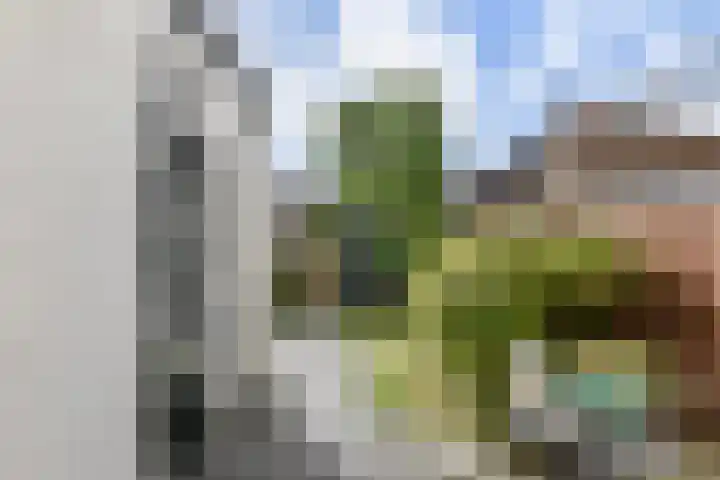 van Brachtstraat 17 Pijnacker thumbnail 21