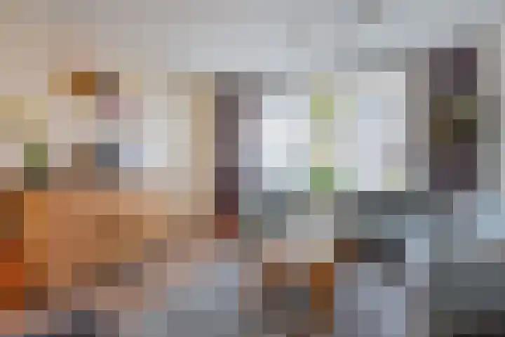van Brachtstraat 17 Pijnacker thumbnail 5