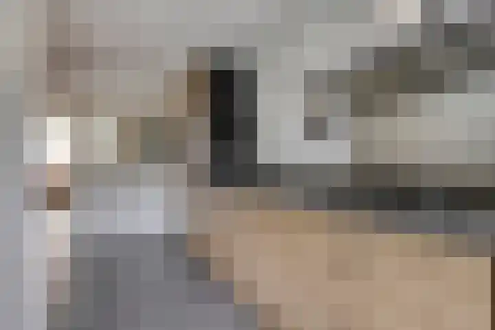 van Brachtstraat 20 Pijnacker thumbnail 13