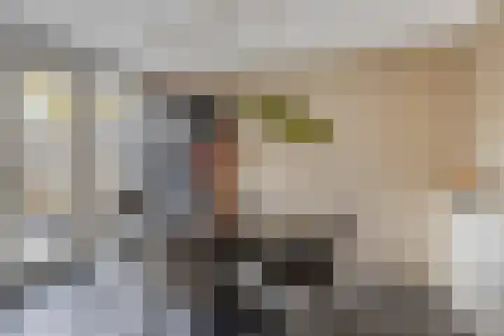 van Brachtstraat 20 Pijnacker thumbnail 14