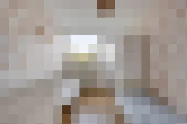 van Brachtstraat 20 Pijnacker thumbnail 21