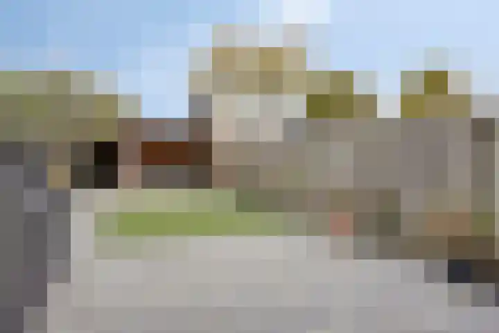 van Brachtstraat 20 Pijnacker thumbnail 23