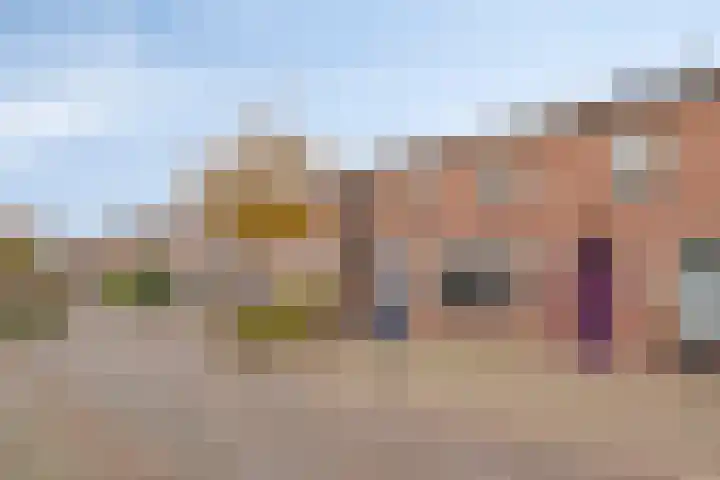 van Brachtstraat 20 Pijnacker thumbnail 6