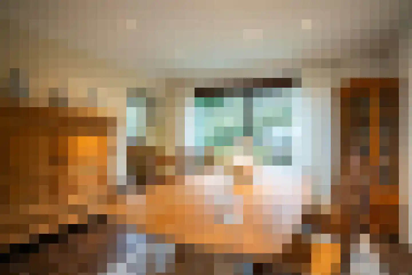 van Brachtstraat 31 Pijnacker thumbnail 12