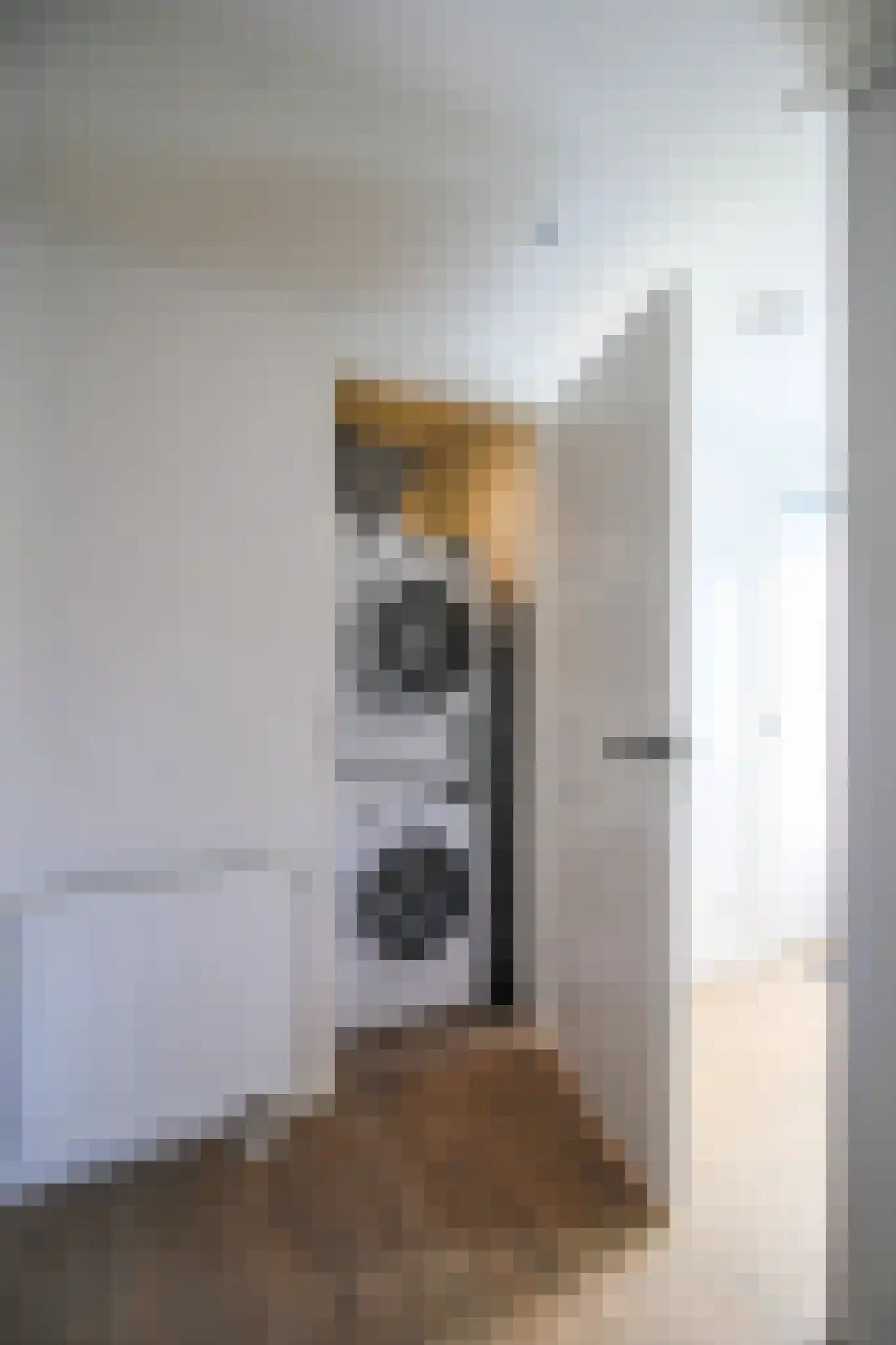 van Brachtstraat 31 Pijnacker thumbnail 13