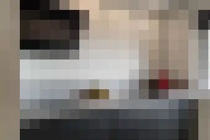 van Brachtstraat 31 Pijnacker thumbnail 4