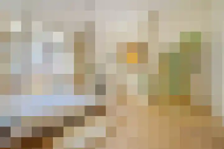 Van Breestraat 171 2 Amsterdam thumbnail 22