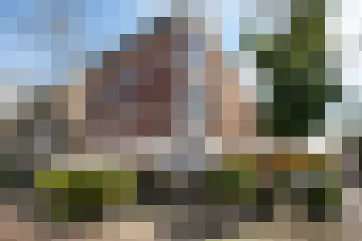 Van Breestraat 171 2 Amsterdam thumbnail 41