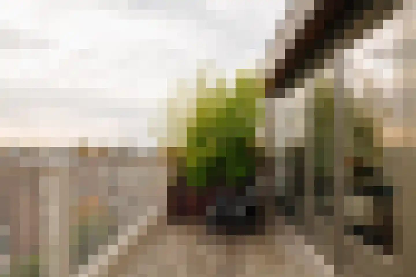 Van Breestraat 183 E Amsterdam thumbnail 14