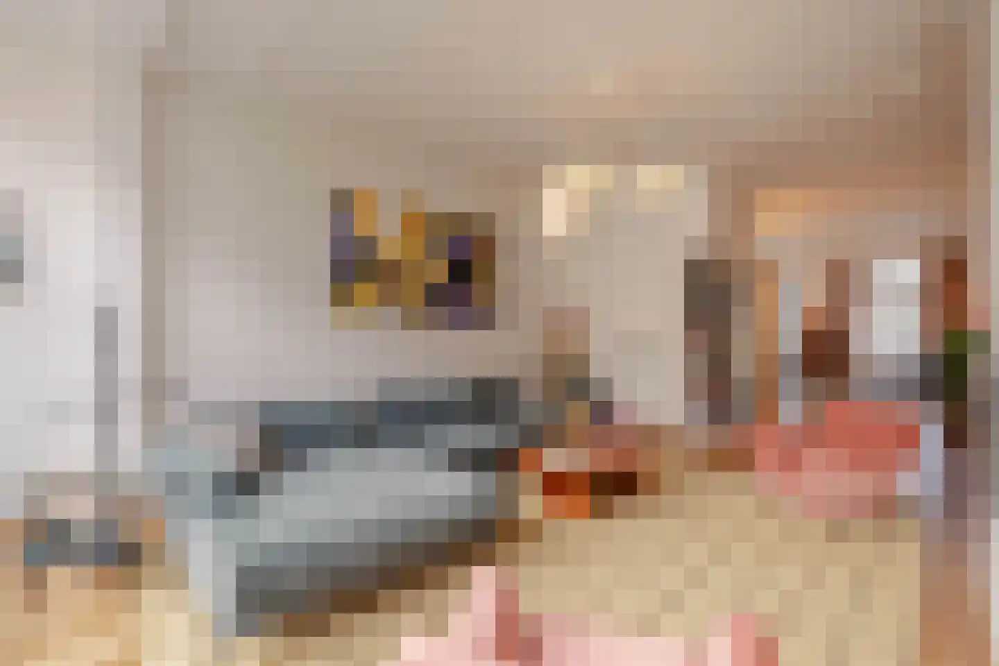 Van Breestraat 45 Amsterdam thumbnail 15