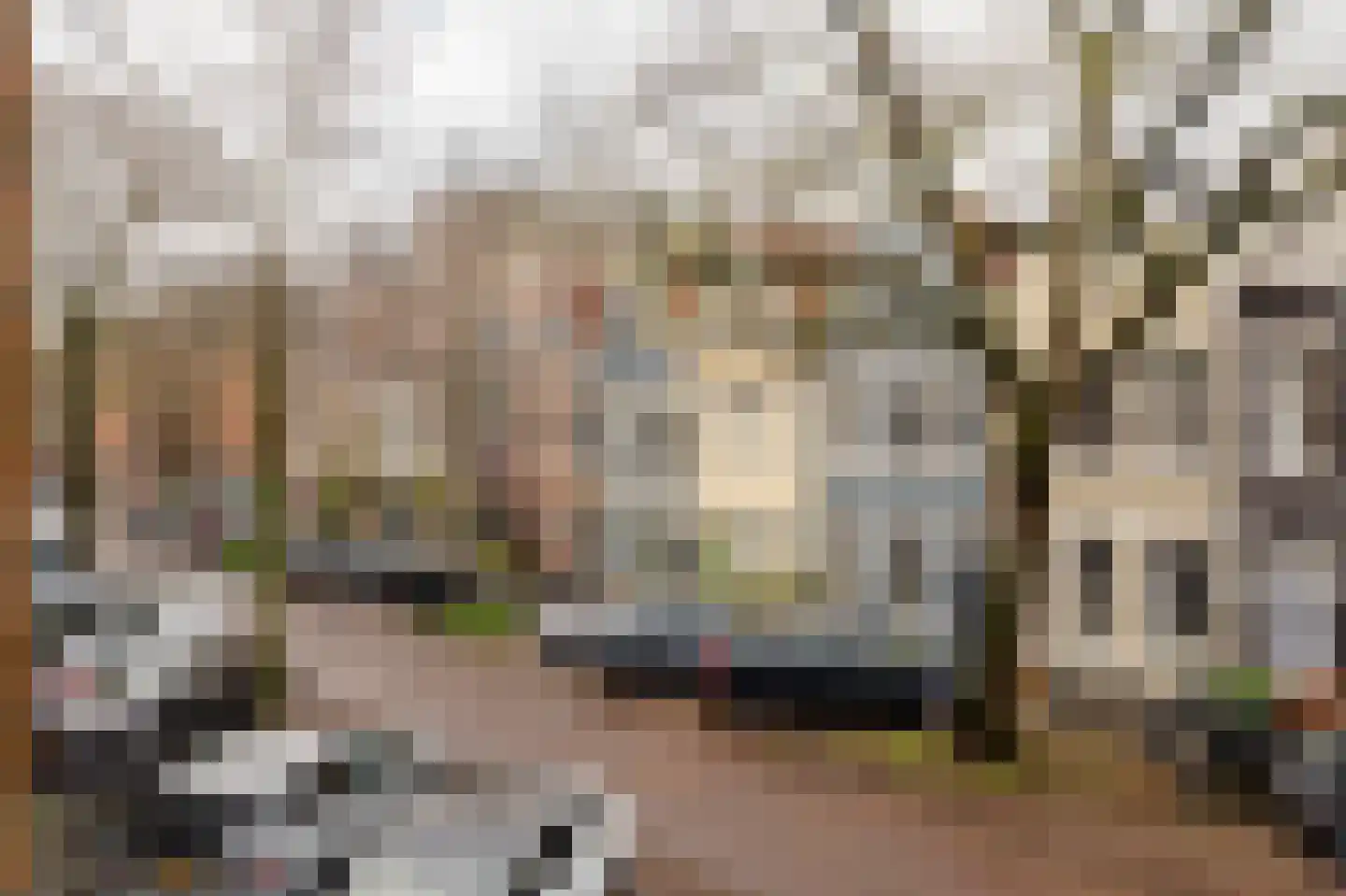 Van Breestraat 45 Amsterdam thumbnail 20