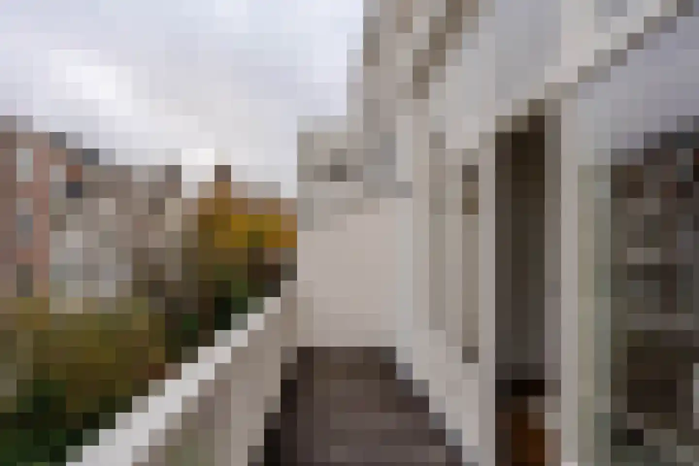 Van Breestraat 45 Amsterdam thumbnail 25