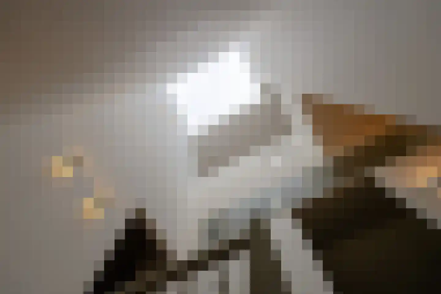 Van Breestraat 45 Amsterdam thumbnail 33