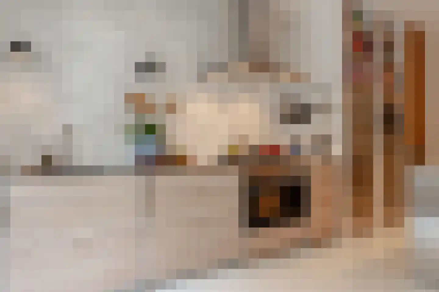 Van Breestraat 45 Amsterdam thumbnail 7