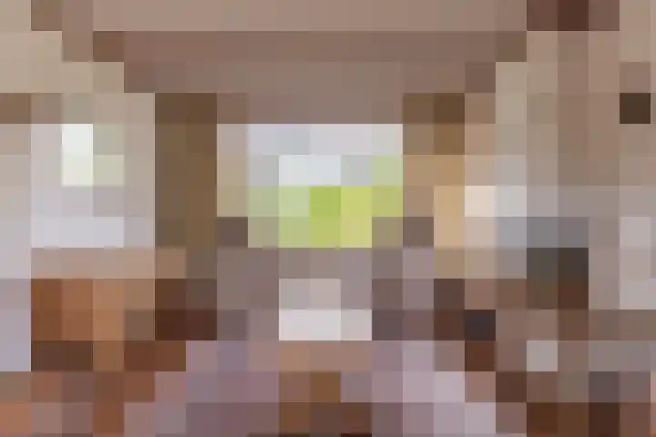 van Bronkhorststraat 4 Bemmel thumbnail 10