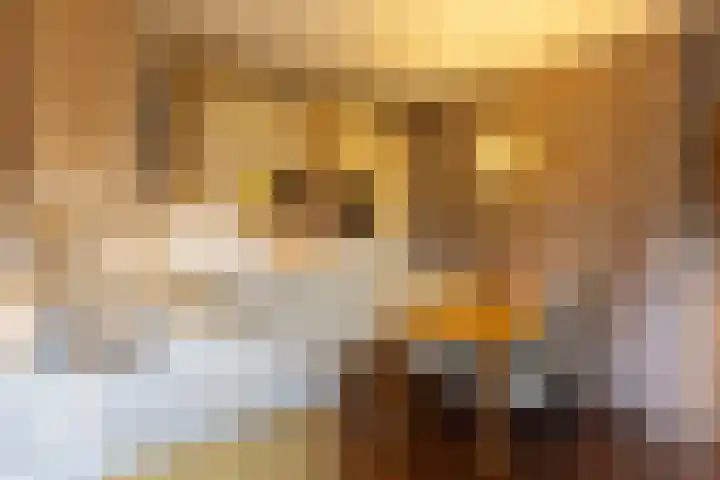van Bronkhorststraat 4 Bemmel thumbnail 14