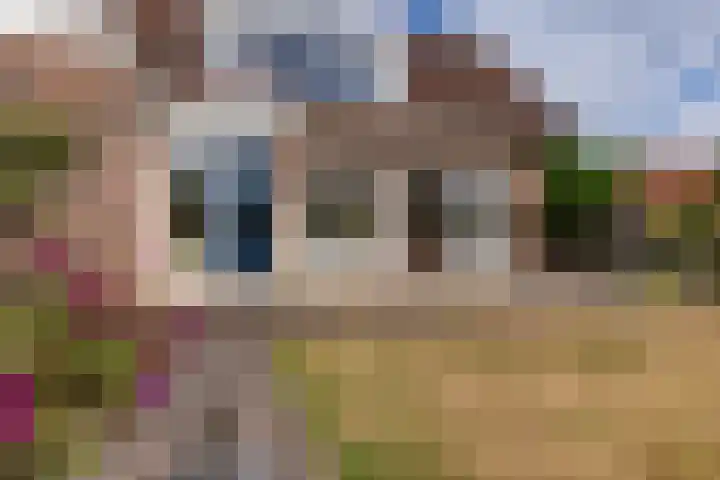 van Bronkhorststraat 4 Bemmel thumbnail 24