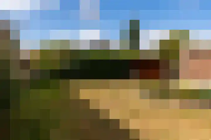 van Bronkhorststraat 4 Bemmel thumbnail 25