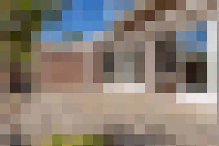 van Bronkhorststraat 4 Bemmel thumbnail 26