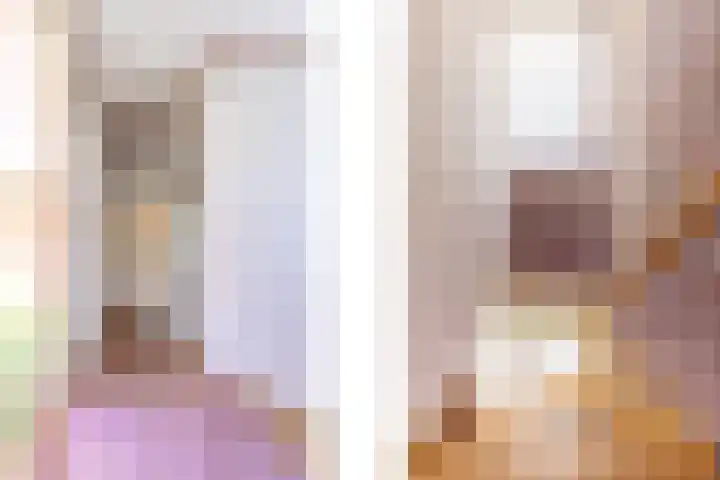 van Bronkhorststraat 4 Bemmel thumbnail 32