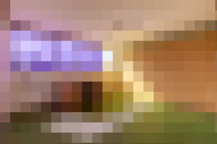 van Bronkhorststraat 4 Bemmel thumbnail 36