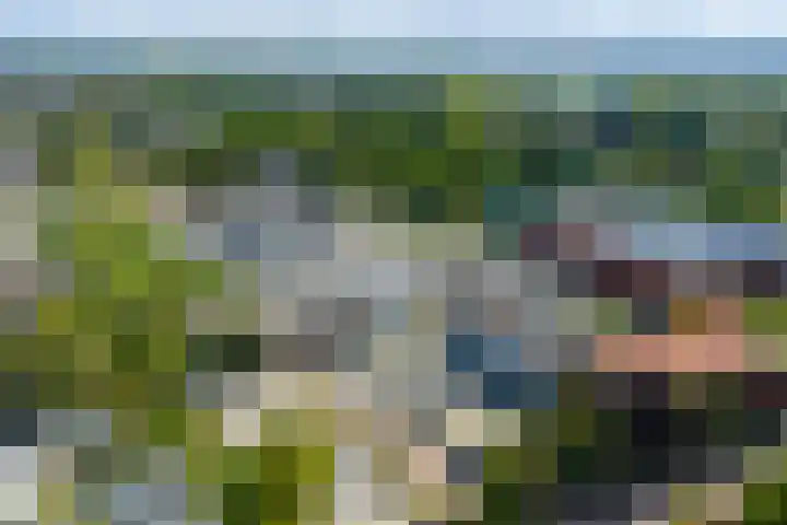 van Bronkhorststraat 4 Bemmel thumbnail 47