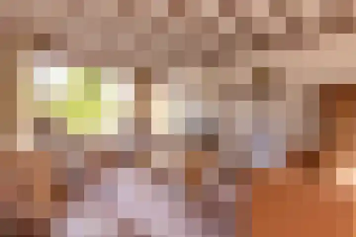 van Bronkhorststraat 4 Bemmel thumbnail 9