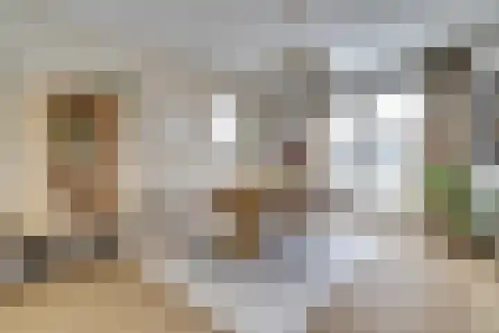 van Bronkhorststraat 7 Bemmel thumbnail 11