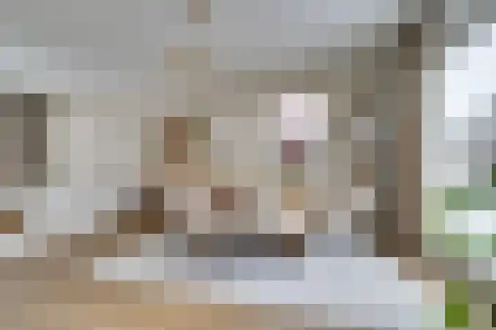 van Bronkhorststraat 7 Bemmel thumbnail 14