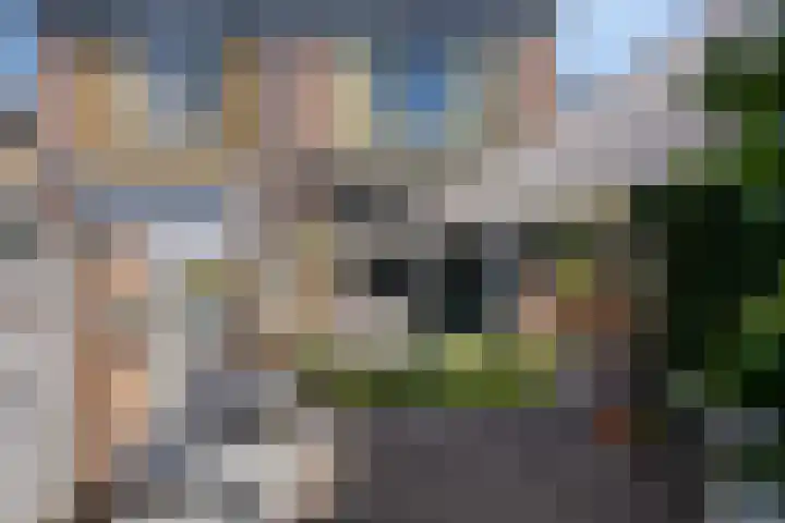 van Bronkhorststraat 7 Bemmel thumbnail 16