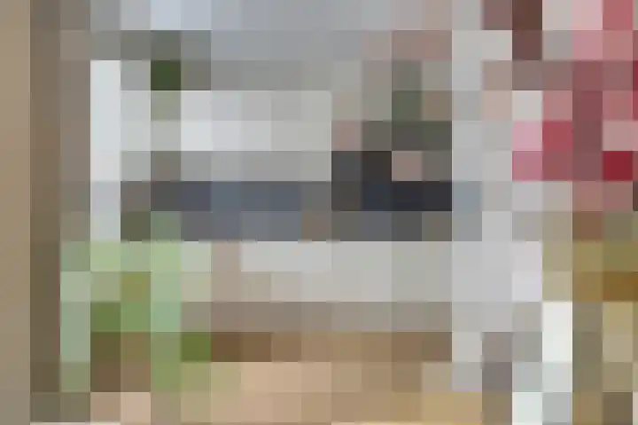 van Bronkhorststraat 7 Bemmel thumbnail 17