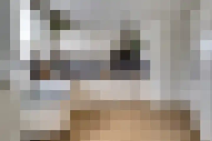 van Bronkhorststraat 7 Bemmel thumbnail 21